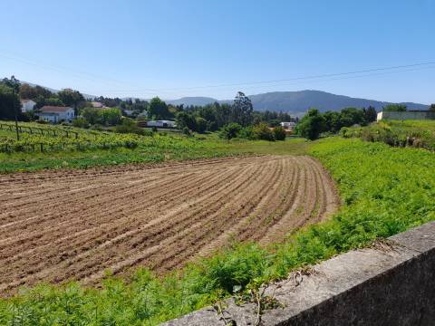 terreno para construção - Caminha