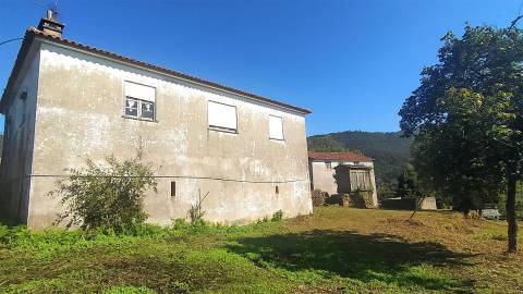 Quintinha T5 Venda em Argela,Caminha