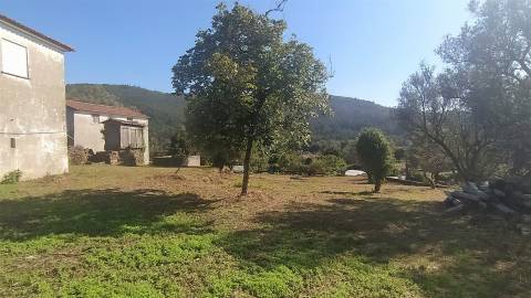 Quintinha T5 Venda em Argela,Caminha