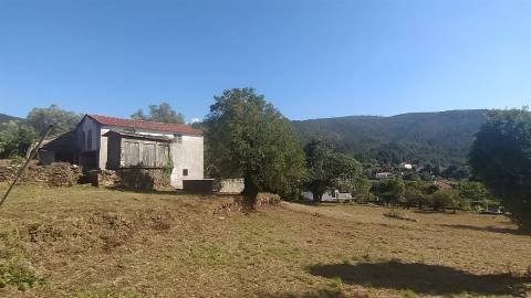 Quintinha T5 Venda em Argela,Caminha