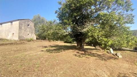 Quintinha T5 Venda em Argela,Caminha