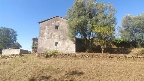 Quintinha T5 Venda em Argela,Caminha