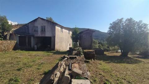 Quintinha T5 Venda em Argela,Caminha