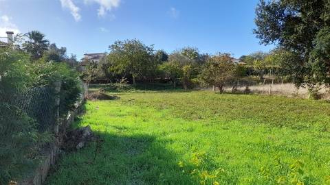 Terreno  Venda em Venade e Azevedo,Caminha