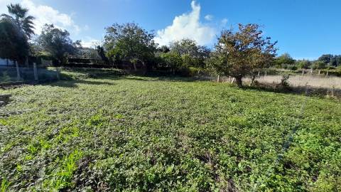 Terreno  Venda em Venade e Azevedo,Caminha