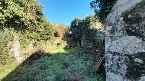 Terreno Urbano  Venda em Dem,Caminha