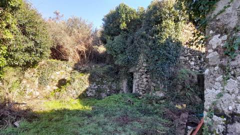 Terreno Urbano  Venda em Dem,Caminha