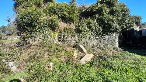 Terreno Urbano  Venda em Dem,Caminha