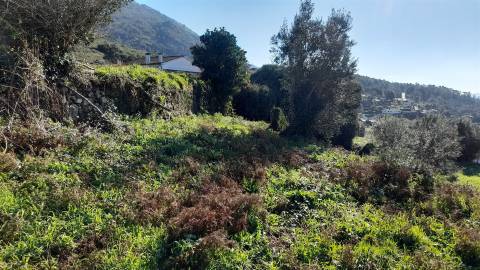 Terreno Urbano  Venda em Dem,Caminha