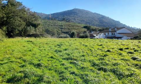 Terreno Urbano  Venda em Dem,Caminha