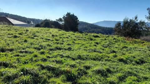 Terreno Urbano  Venda em Dem,Caminha