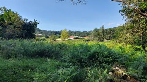Terreno  Venda em Afife,Viana do Castelo