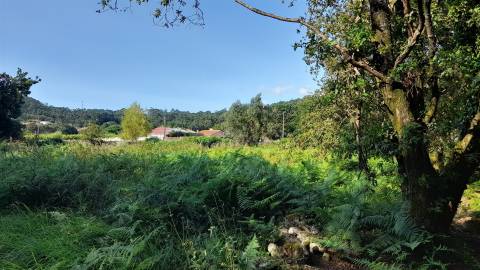 Terreno  Venda em Afife,Viana do Castelo