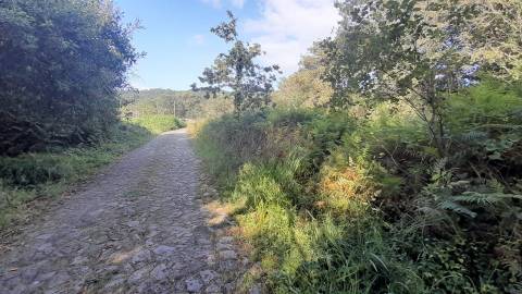 Terreno  Venda em Afife,Viana do Castelo