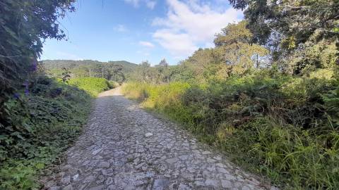 Terreno  Venda em Afife,Viana do Castelo