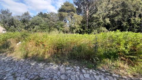 Terreno  Venda em Afife,Viana do Castelo