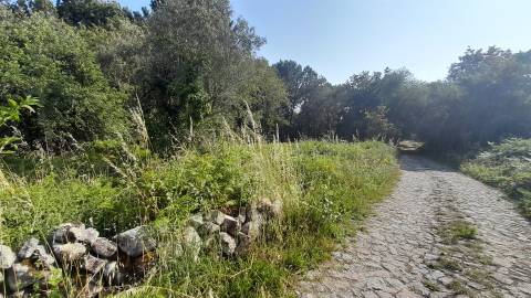 Terreno  Venda em Afife,Viana do Castelo