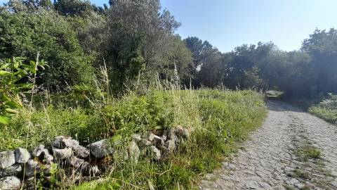 Terreno  Venda em Afife,Viana do Castelo