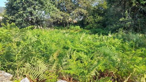 Terreno  Venda em Afife,Viana do Castelo