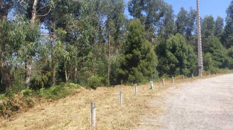 Terreno  Venda em Argela,Caminha