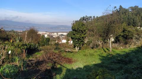 Terreno Para Construção  Venda em Caminha (Matriz) e Vilarelho,Caminha