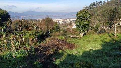 Terreno Para Construção  Venda em Caminha (Matriz) e Vilarelho,Caminha
