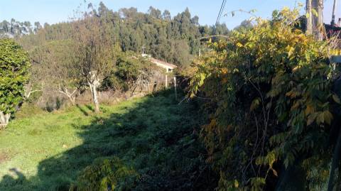Terreno Para Construção  Venda em Caminha (Matriz) e Vilarelho,Caminha
