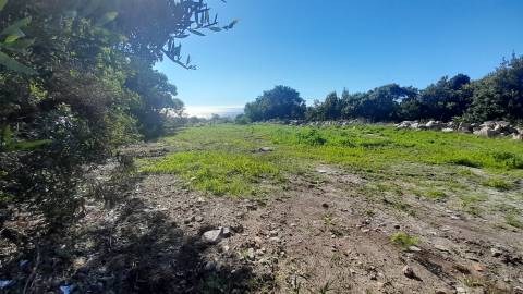 Terreno Para Construção  Venda em Moledo e Cristelo,Caminha