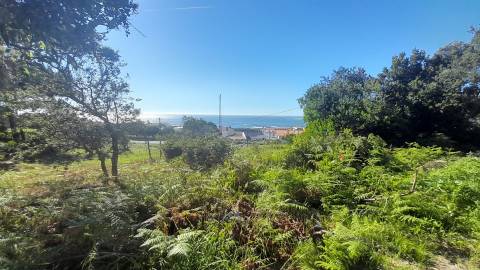 Terreno Para Construção  Venda em Moledo e Cristelo,Caminha