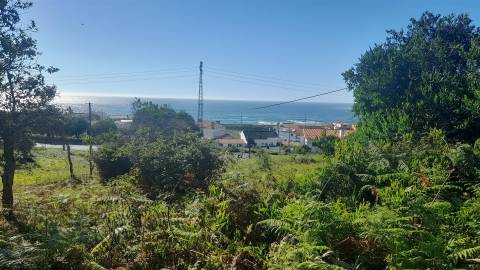 Terreno Para Construção  Venda em Moledo e Cristelo,Caminha