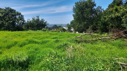 Terreno Para Construção  Venda em Moledo e Cristelo,Caminha