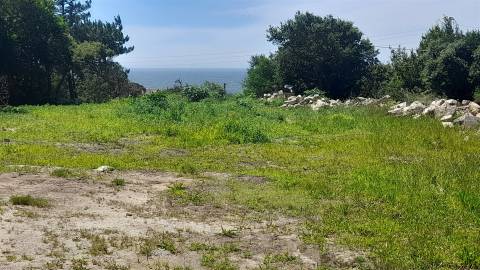 Terreno Para Construção  Venda em Moledo e Cristelo,Caminha