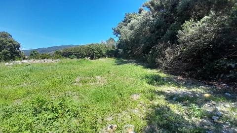 Terreno Para Construção  Venda em Moledo e Cristelo,Caminha