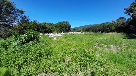 Terreno Para Construção  Venda em Moledo e Cristelo,Caminha