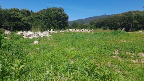 Terreno Para Construção  Venda em Moledo e Cristelo,Caminha