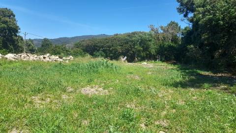 Terreno Para Construção  Venda em Moledo e Cristelo,Caminha