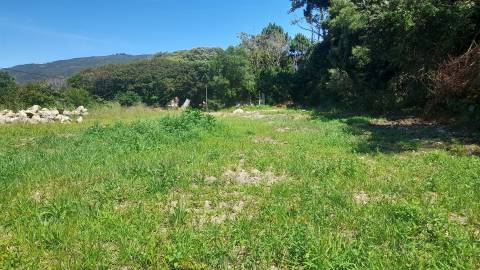 Terreno Para Construção  Venda em Moledo e Cristelo,Caminha