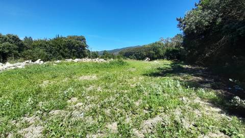 Terreno Para Construção  Venda em Moledo e Cristelo,Caminha