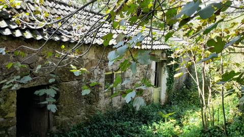 Moradia Isolada T1 Venda em Gondarém,Vila Nova de Cerveira