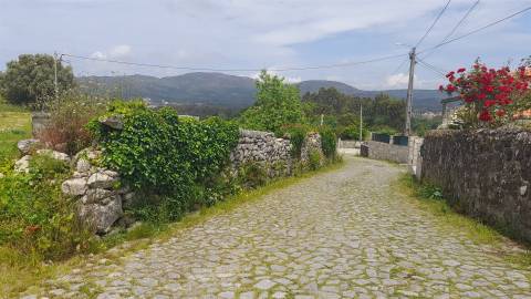 Terreno  Venda em Âncora,Caminha