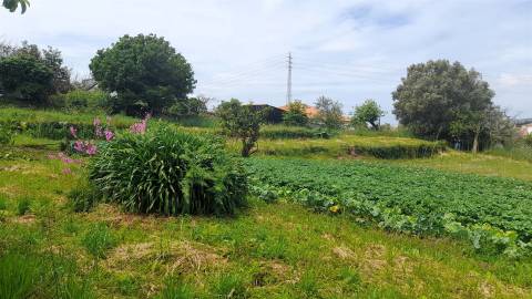 Terreno  Venda em Âncora,Caminha