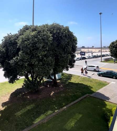 T4  - 1 LINHA MAR - MATOSINHOS