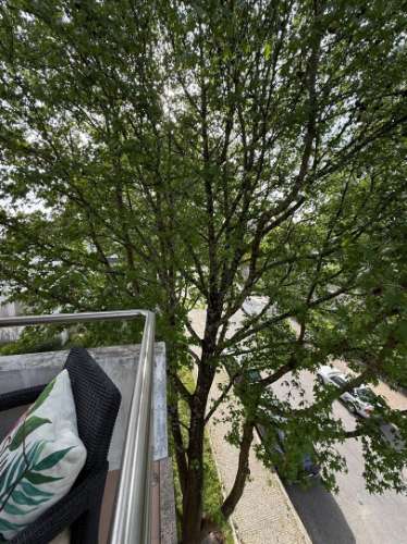 Apartamento T3 Venda em Cidade da Maia,Maia