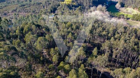 Terreno à Venda com PIP  para moradias em Santo Tirso - Água Longa.