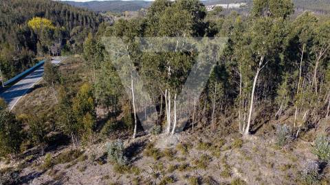 Terreno à Venda com PIP  para moradias em Santo Tirso - Água Longa.