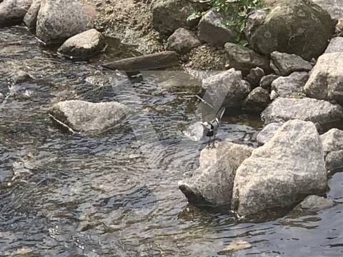 Terreno à Venda Junto ao Passadiço em Rio Tinto - Gondomar