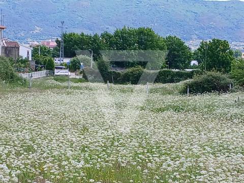 Terreno com PIP Aprovado Para Prédio/ Moradias - Chaves.