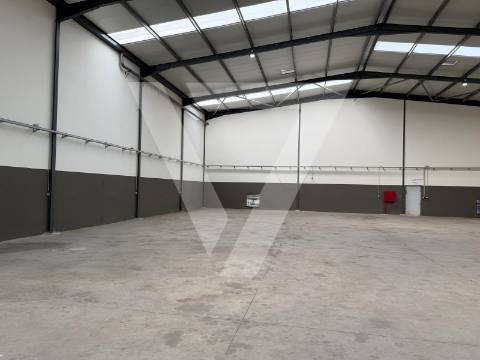 Armazém de luxo para Venda  na Zona Industrial de Grijó - Porto