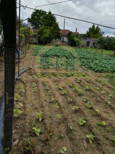 Moradia para Restaurar T3 Venda em Viseu,Viseu