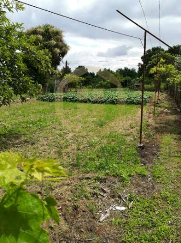 Moradia para Restaurar T3 Venda em Viseu,Viseu